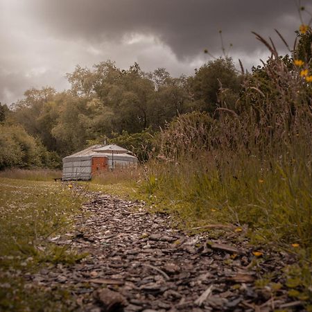 Hotel Gilfach Gower Farm Luxury Yurt With Hot Tub Ammanford Zewnętrze zdjęcie